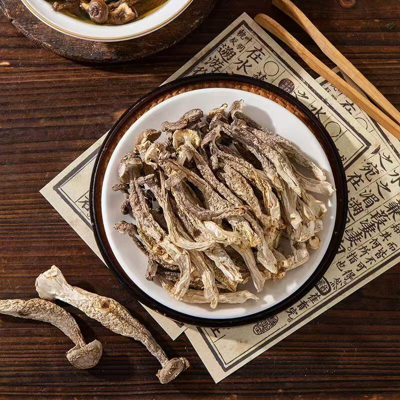 鹿茸菇特写
