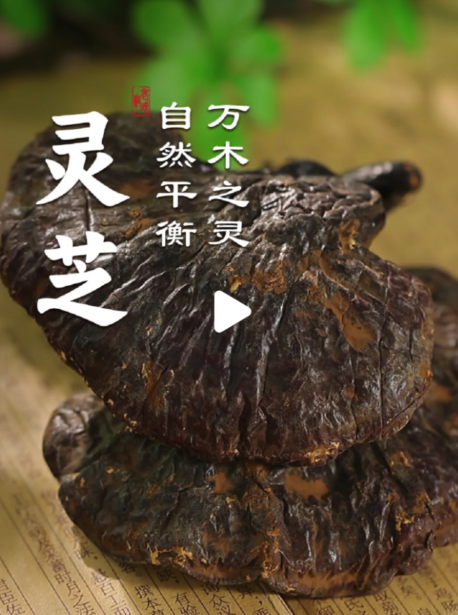ScreenShot_2026-08-29_104825_917.png